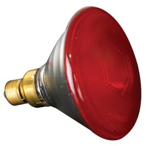 Sylvania halogeenlamp 80 watt pAR38 rood