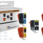 Cartridge Canon PGI520 en CLI521