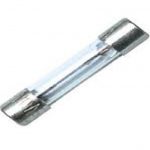 Gloeilampje axiaal 8 vdc 250ma